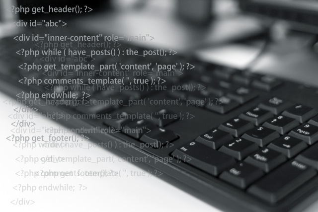 ITコンサルティング事業